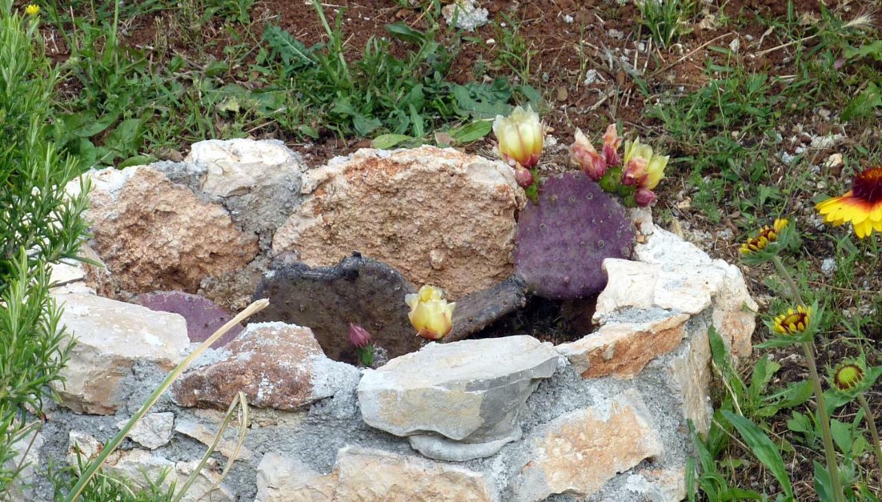 فيلا Palme بوريتش المظهر الخارجي الصورة